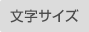 文字サイズ